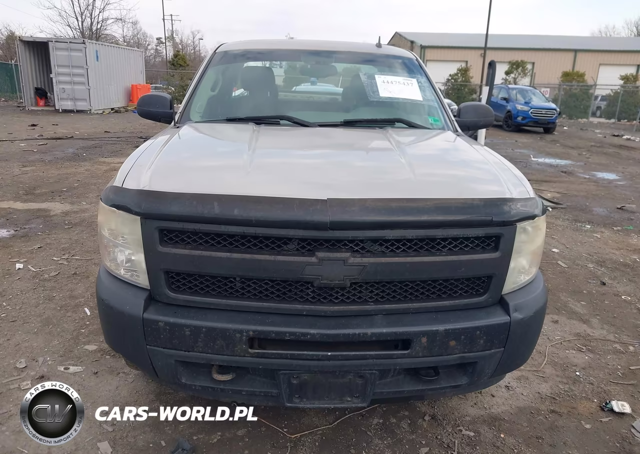 2009 Chevrolet Silverado 1500 Work Truck VIN:1GCEK19C09Z272883 - 12