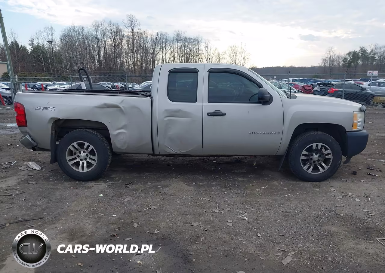 2009 Chevrolet Silverado 1500 Work Truck VIN:1GCEK19C09Z272883 - 13