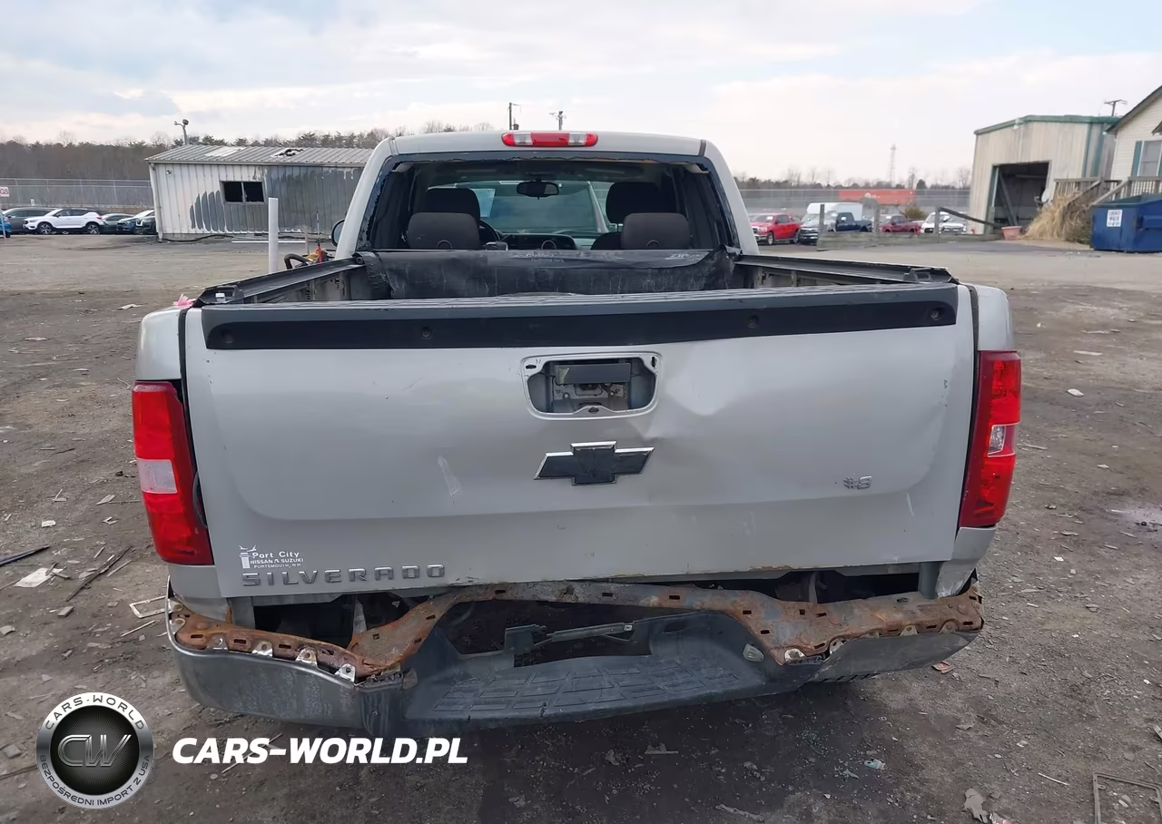 2009 Chevrolet Silverado 1500 Work Truck VIN:1GCEK19C09Z272883 - 6