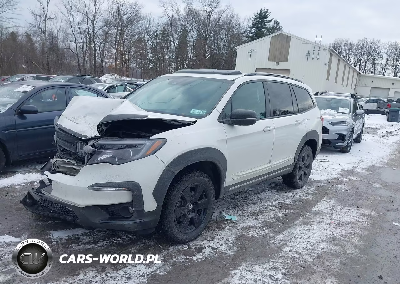 2022 Honda Pilot Awd Trailsport VIN:5FNYF6H86NB078743 - 2