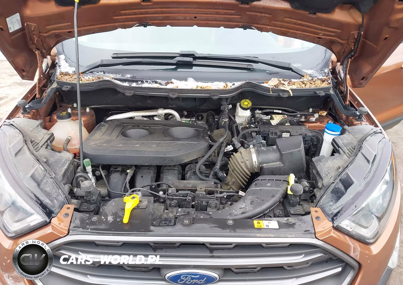 2018 Ford Ecosport Ses VIN:MAJ6P1CL7JC162182 - 10