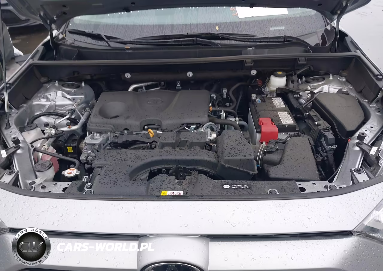 2025 Toyota Rav4 Xle VIN:2T3W1RFV8SC337272 - 10