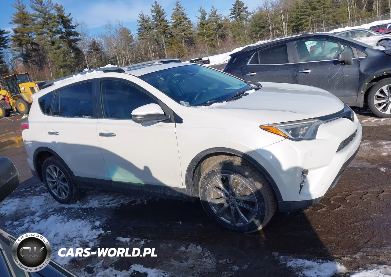 2017 Toyota Rav4 Limited VIN:JTMYFREV8HJ120953 - 13