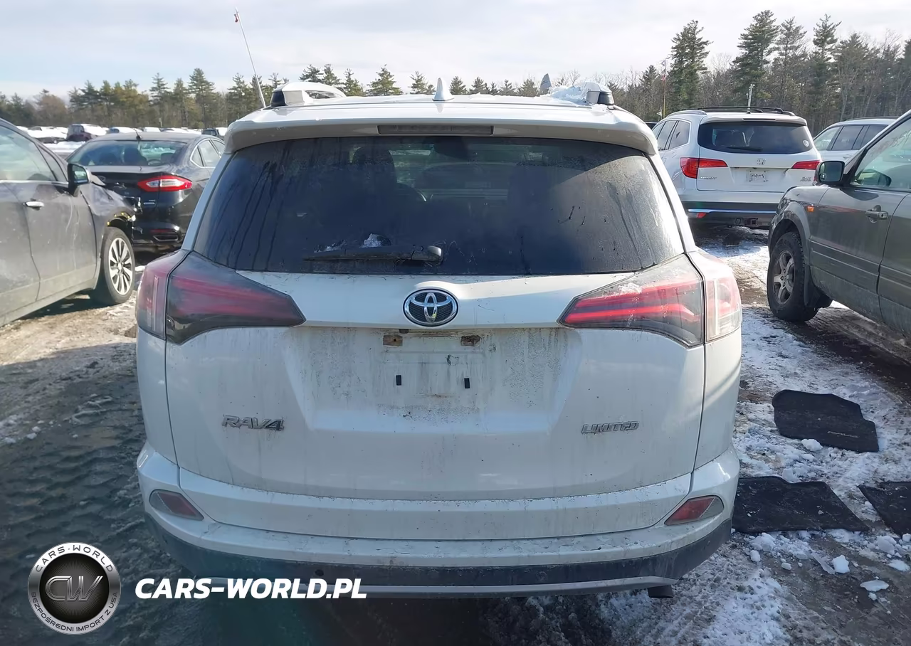 2017 Toyota Rav4 Limited VIN:JTMYFREV8HJ120953 - 16