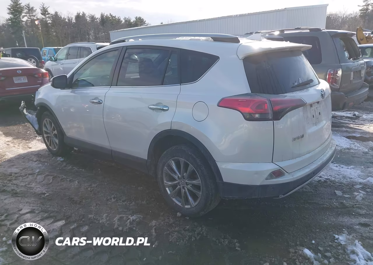 2017 Toyota Rav4 Limited VIN:JTMYFREV8HJ120953 - 3