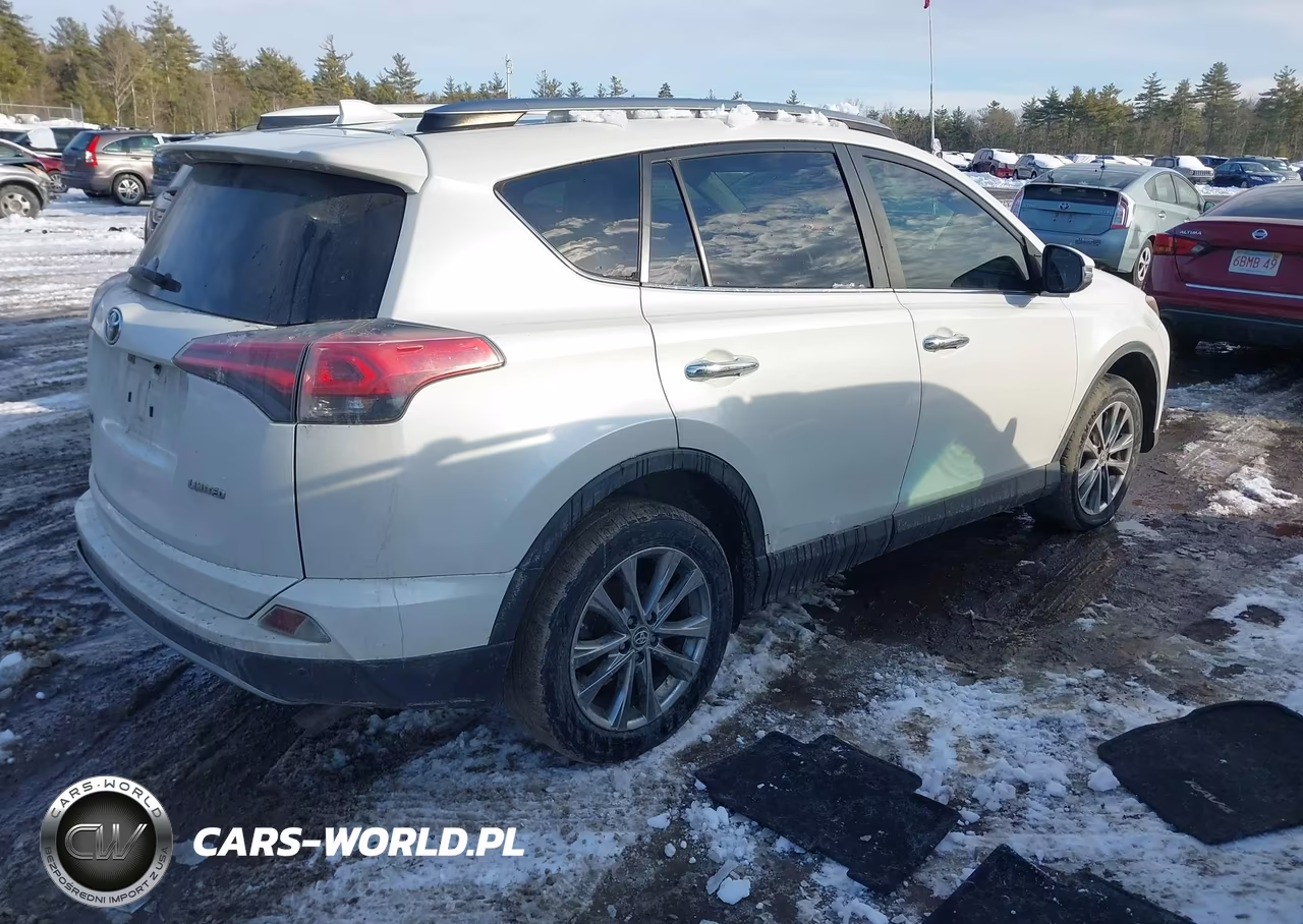 2017 Toyota Rav4 Limited VIN:JTMYFREV8HJ120953 - 4