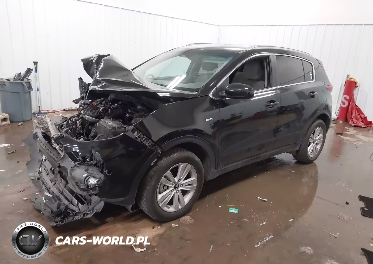 2017 Kia Sportage Lx VIN:KNDPMCAC9H7184435 - 2