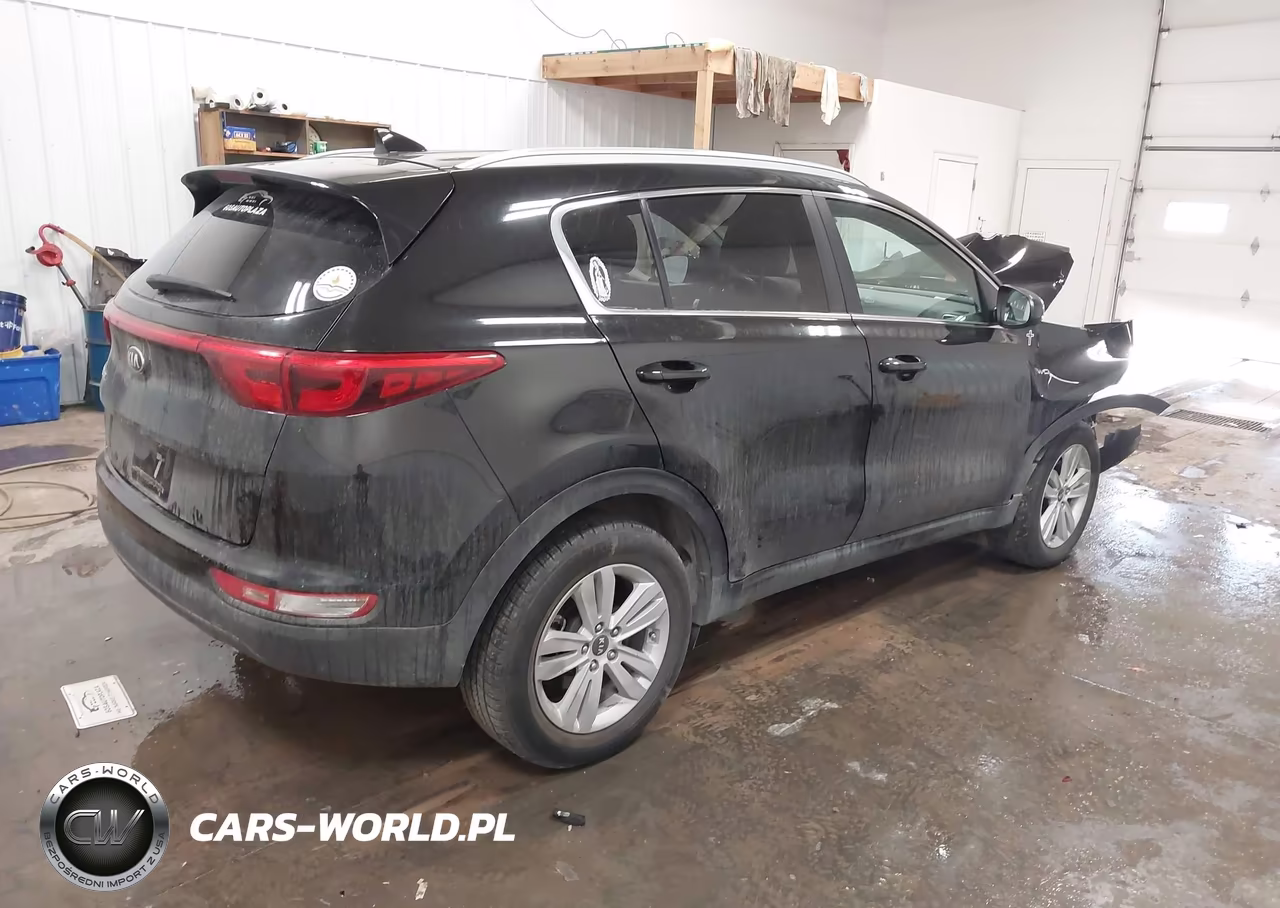 2017 Kia Sportage Lx VIN:KNDPMCAC9H7184435 - 4