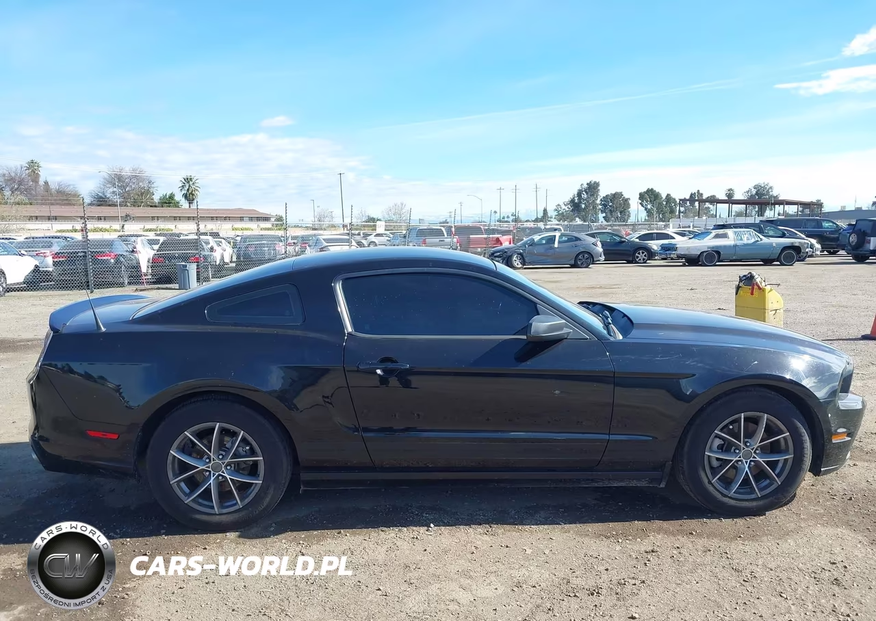 2013 Ford Mustang V6 VIN:1ZVBP8AM4D5275607 - 13