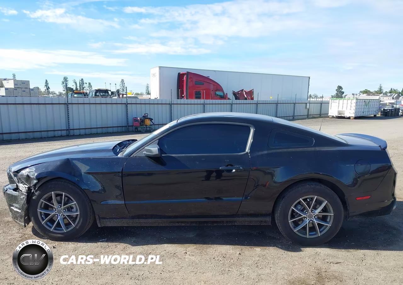 2013 Ford Mustang V6 VIN:1ZVBP8AM4D5275607 - 14
