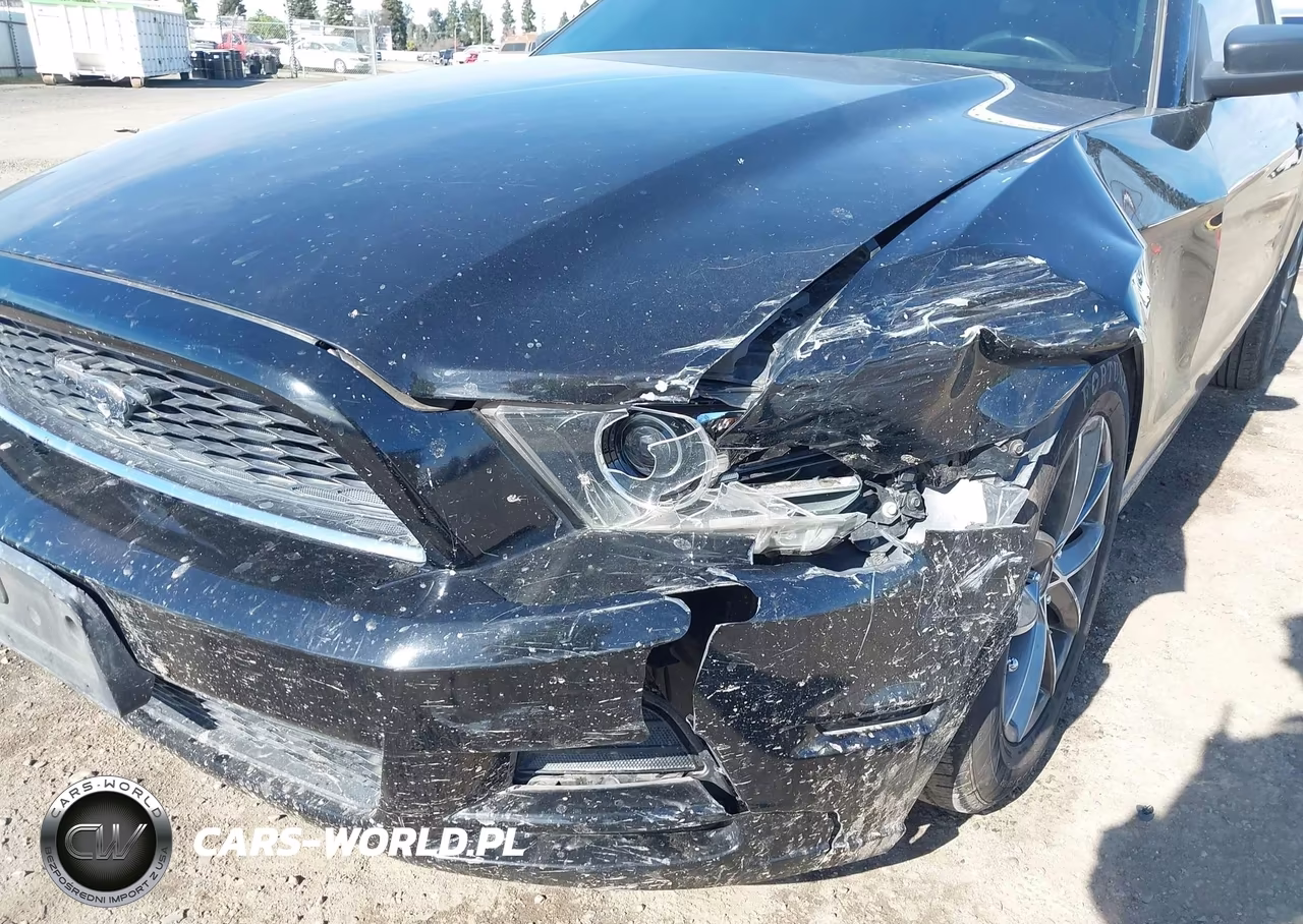 2013 Ford Mustang V6 VIN:1ZVBP8AM4D5275607 - 17