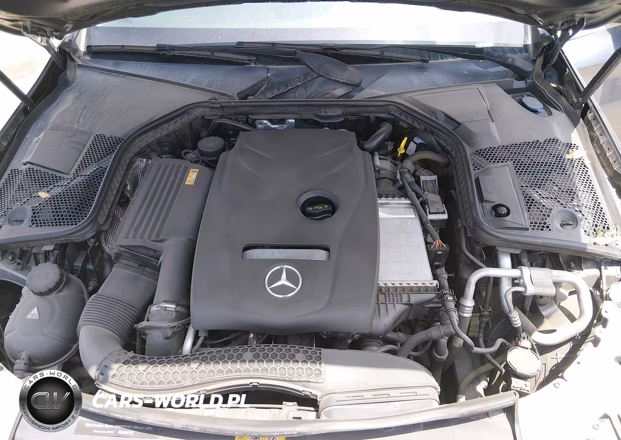 2017 Mercedes-Benz C 300 VIN:55SWF4JB6HU190172 - 10