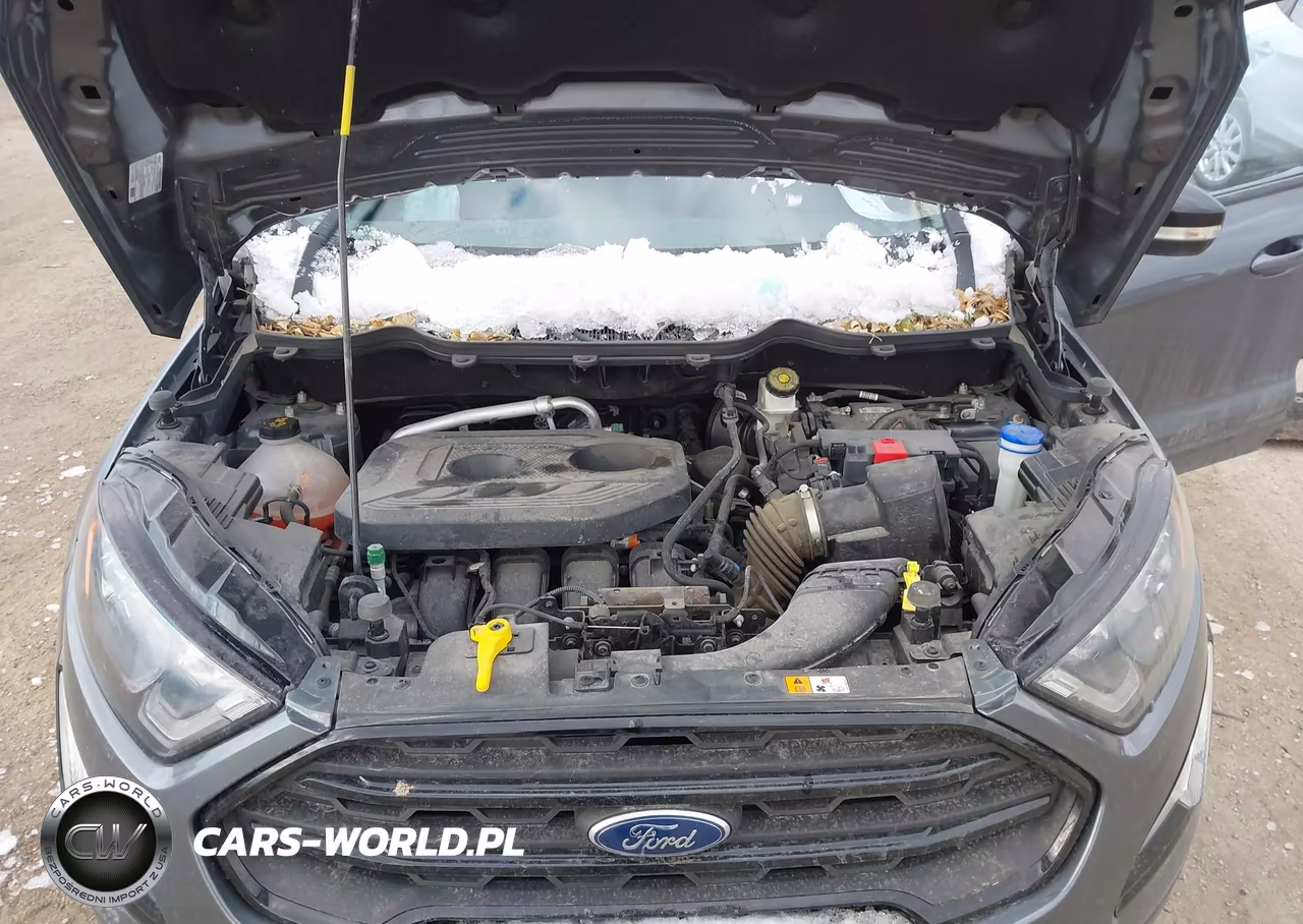 2020 Ford Ecosport Ses VIN:MAJ6S3JLXLC335967 - 10