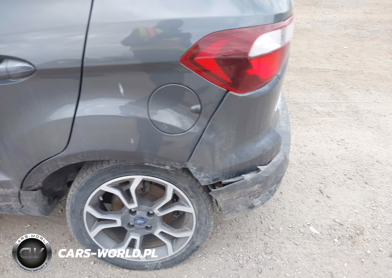 2020 Ford Ecosport Ses VIN:MAJ6S3JLXLC335967 - 19