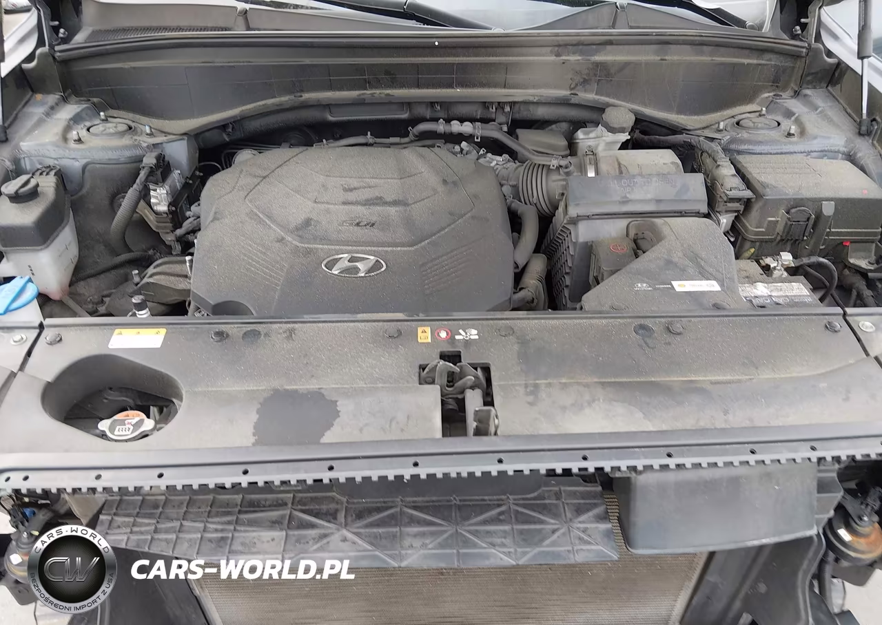 2021 Hyundai Palisade Sel VIN:KM8R44HEXMU316020 - 10