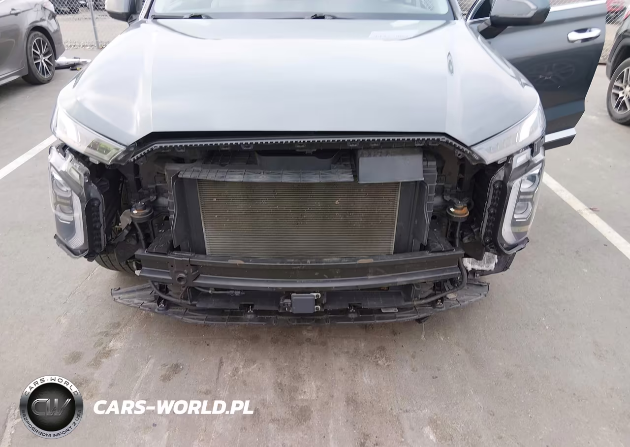 2021 Hyundai Palisade Sel VIN:KM8R44HEXMU316020 - 6