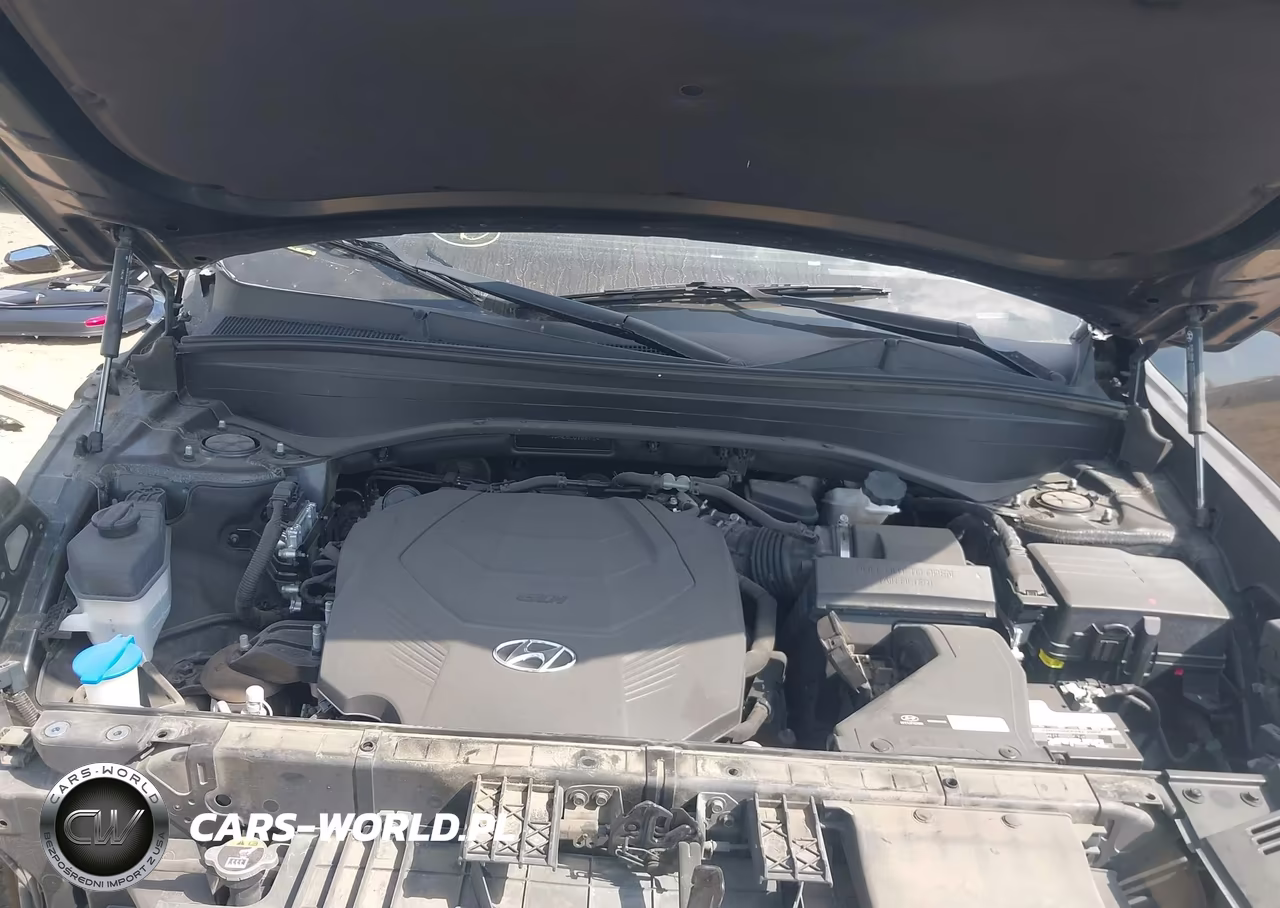2020 Hyundai Palisade Limited VIN:KM8R5DHE6LU108034 - 10