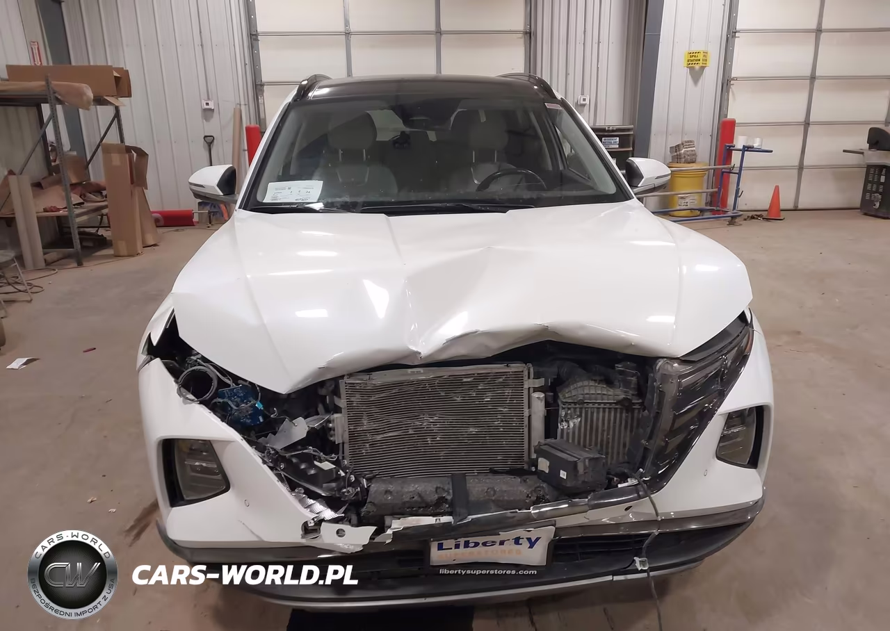 2022 Hyundai Tucson Hybrid Limited VIN:KM8JECA12NU014783 - 12