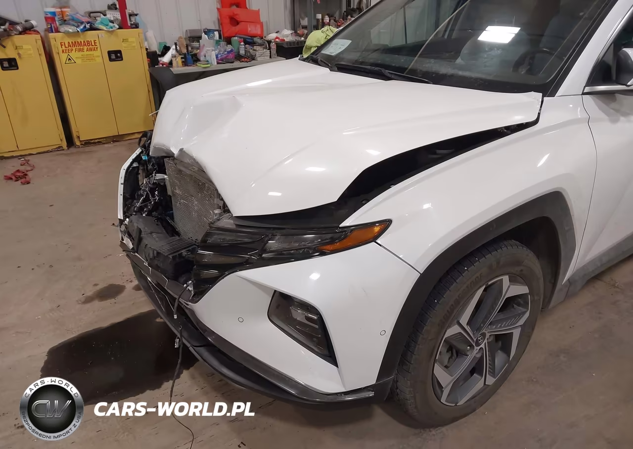2022 Hyundai Tucson Hybrid Limited VIN:KM8JECA12NU014783 - 6