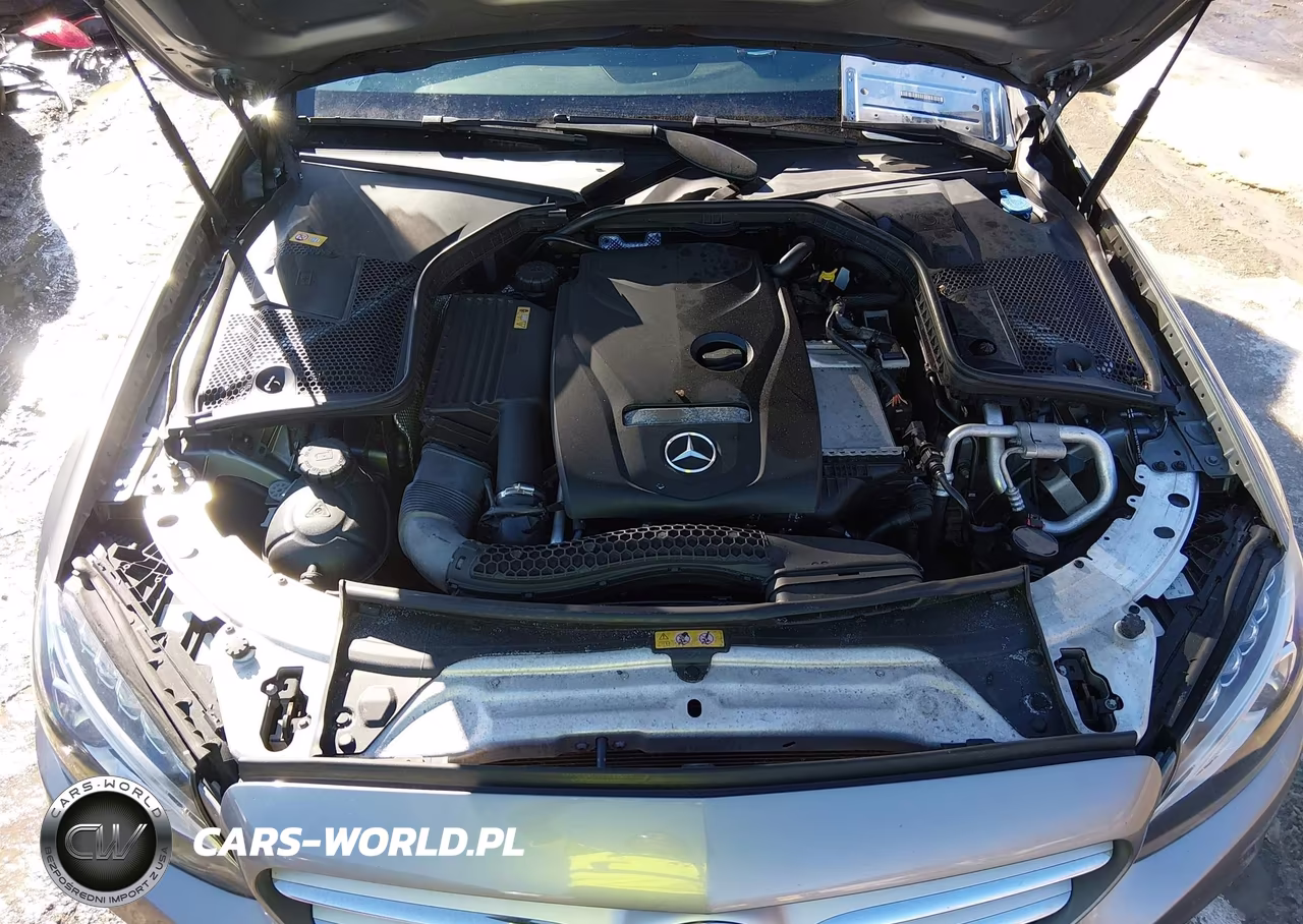 2016 Mercedes-Benz C 300 4Matic VIN:55SWF4KBXGU107999 - 10