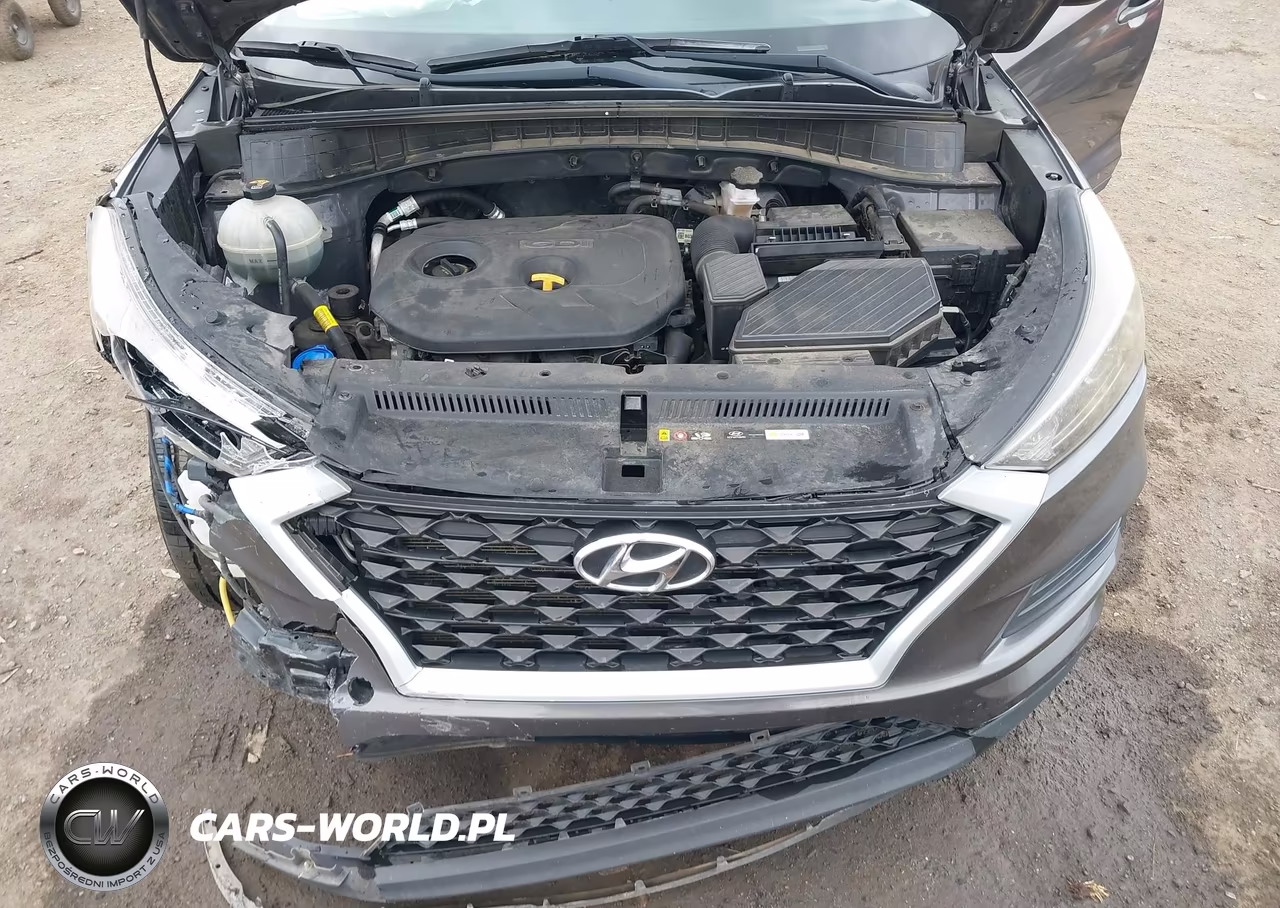 2020 Hyundai Tucson Value VIN:KM8J33A49LU141348 - 10