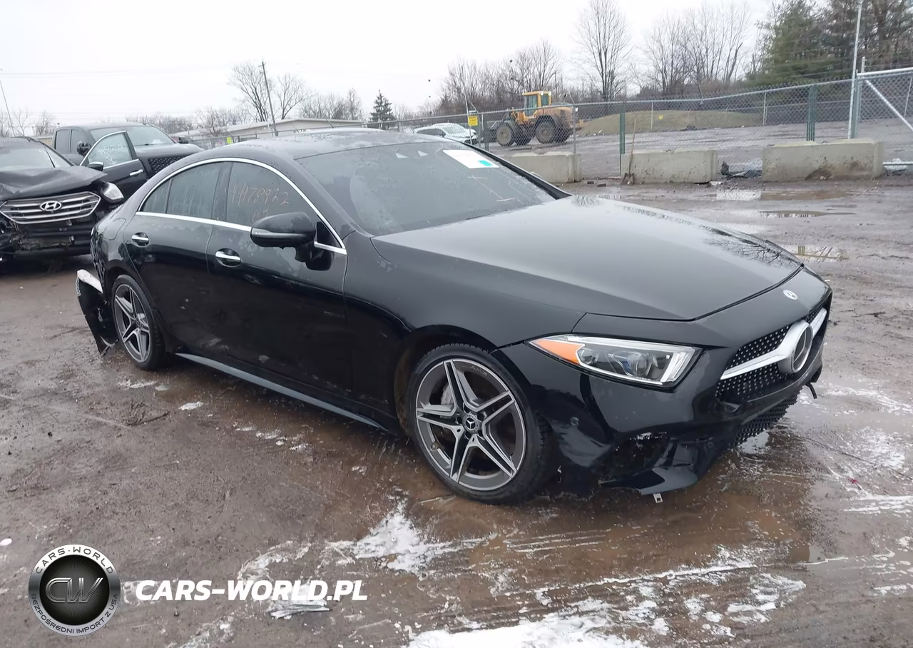 2019 Mercedes-Benz Cls 450 4Matic