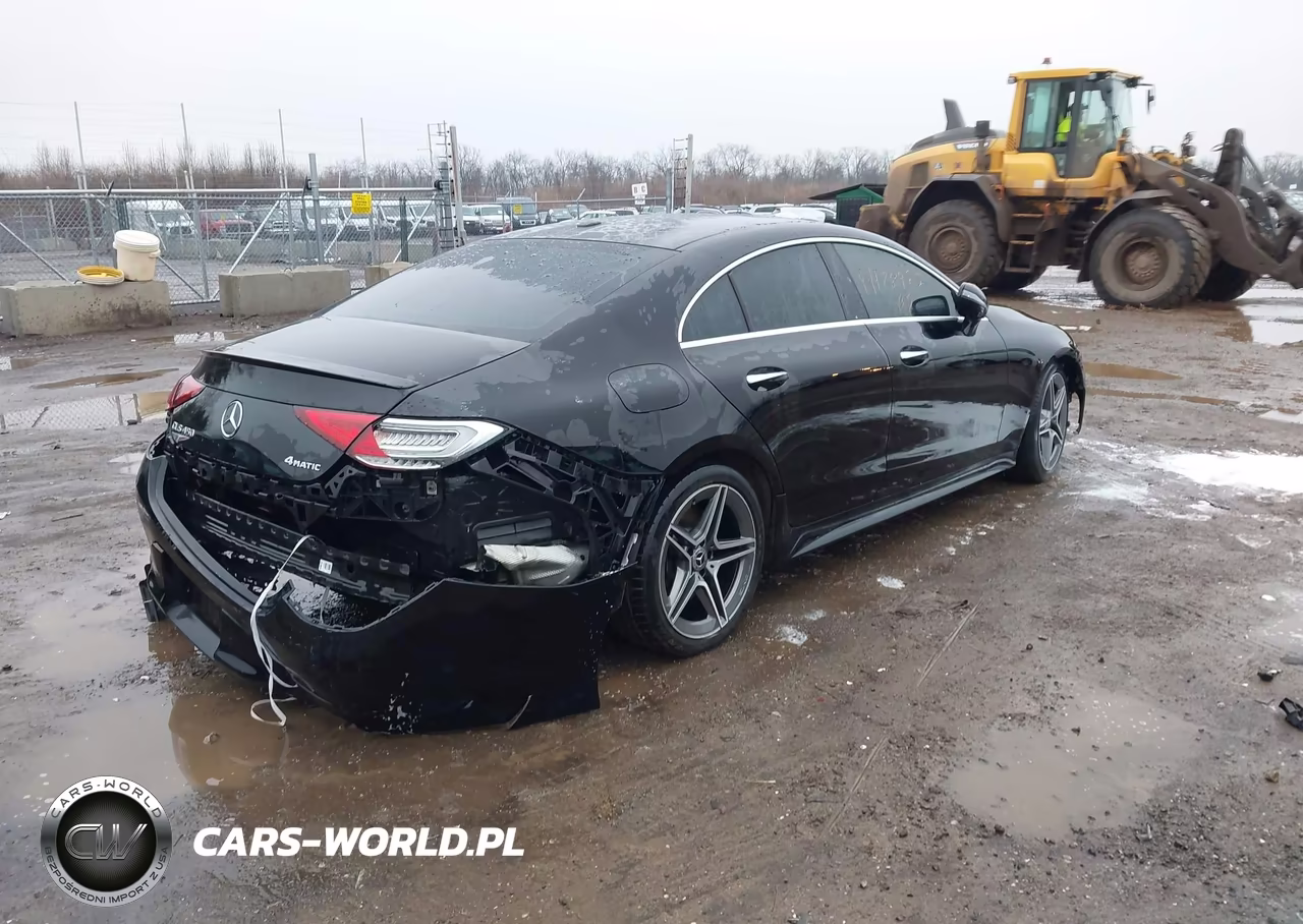 2019 Mercedes-Benz Cls 450 4Matic VIN:WDD2J5KB0KA016218 - 4