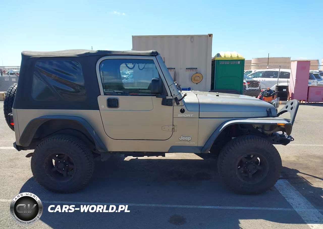 2003 Jeep Wrangler Sport VIN:1J4FA49S53P372832 - 13