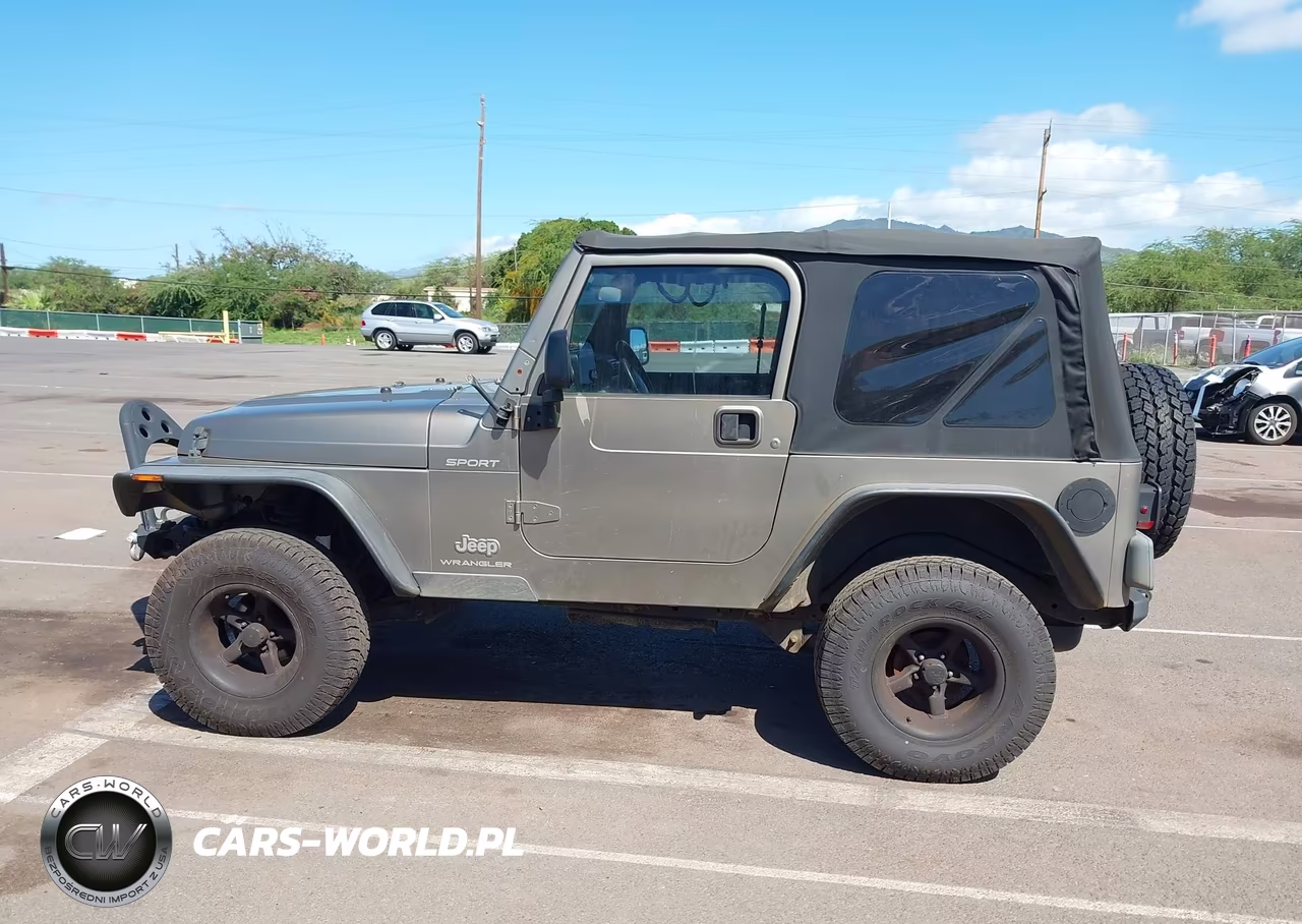 2003 Jeep Wrangler Sport VIN:1J4FA49S53P372832 - 14
