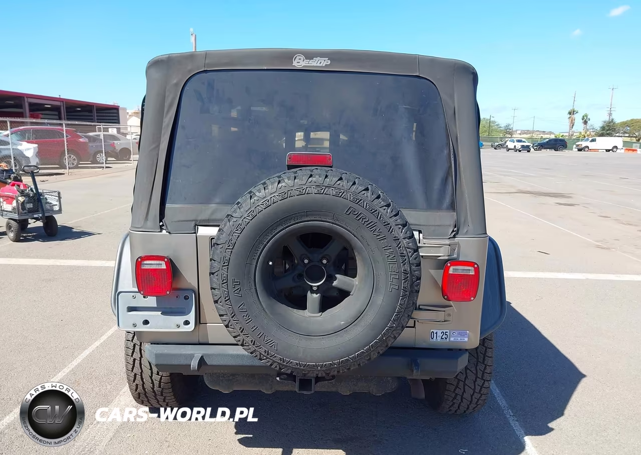 2003 Jeep Wrangler Sport VIN:1J4FA49S53P372832 - 16