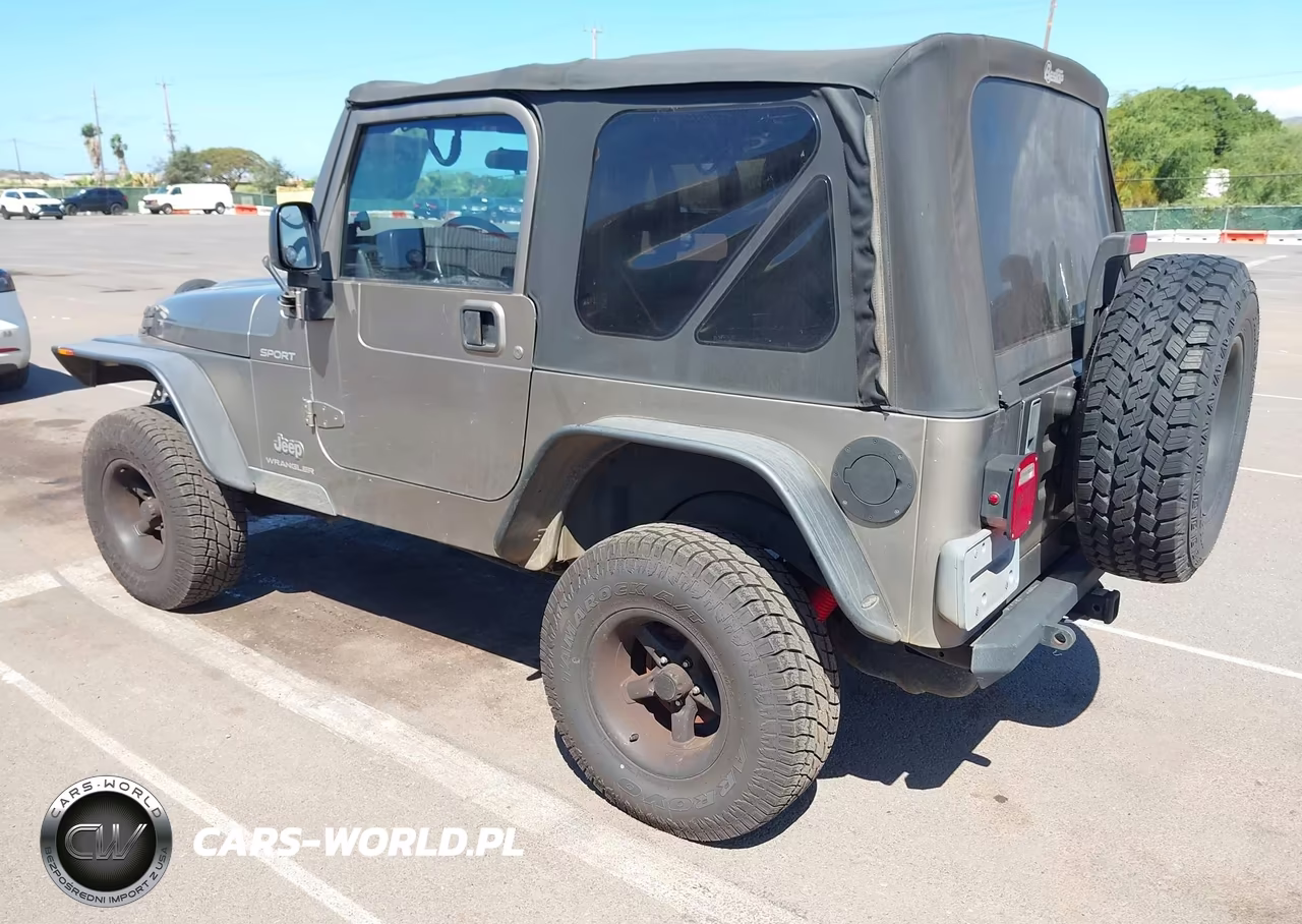 2003 Jeep Wrangler Sport VIN:1J4FA49S53P372832 - 3