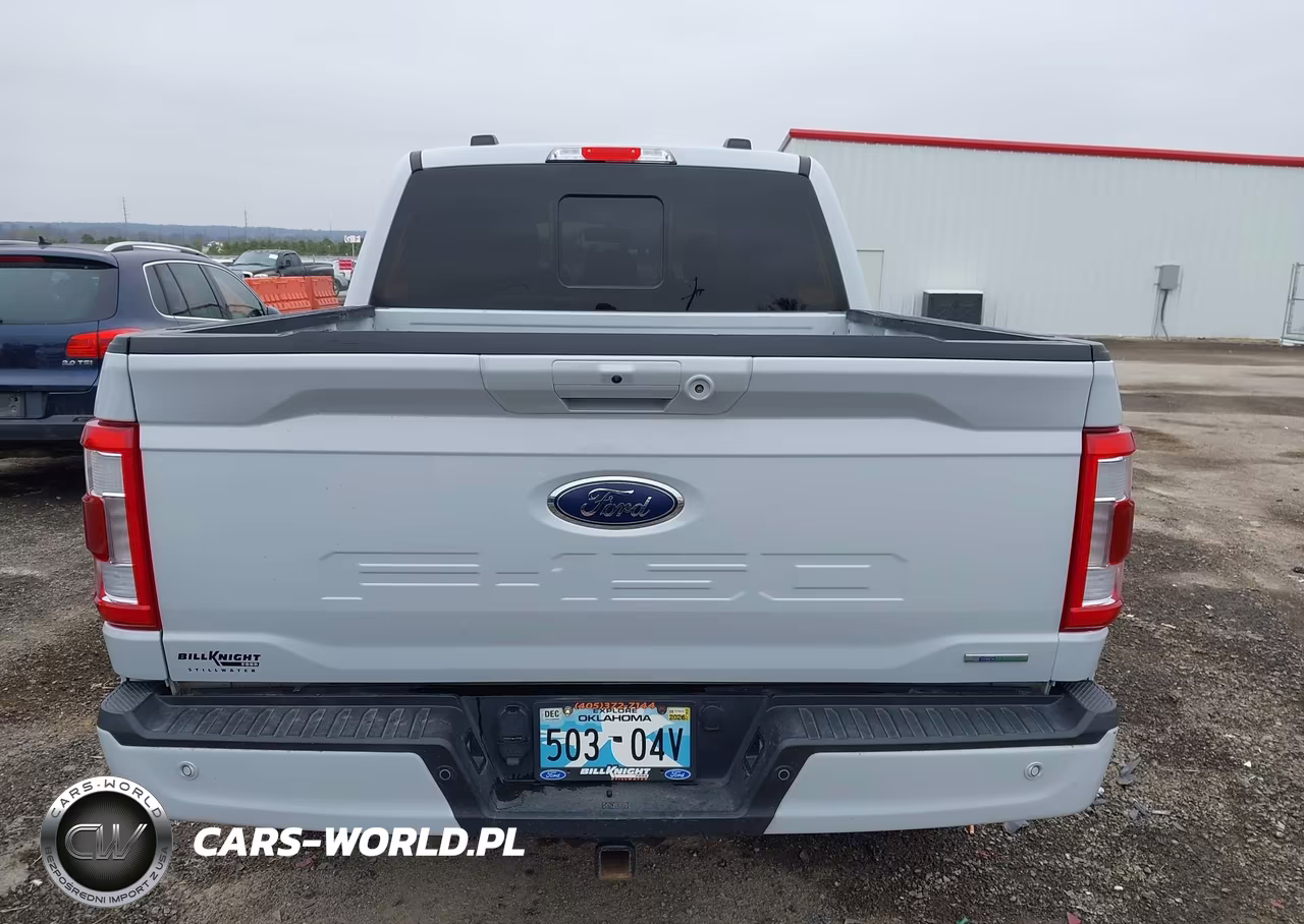 2021 Ford F-150 Lariat VIN:1FTFW1E87MKE92498 - 17