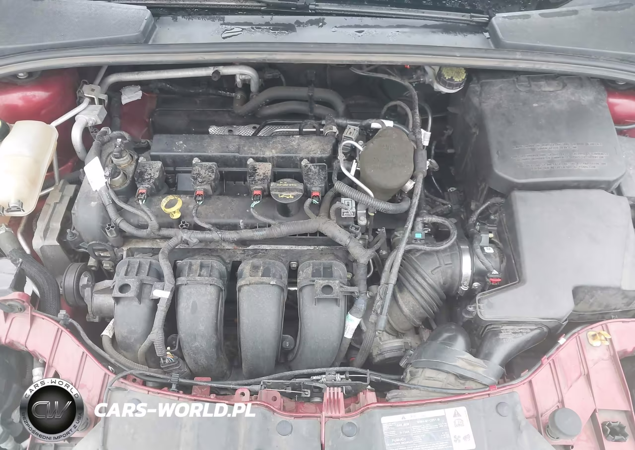 2013 Ford Focus Se VIN:1FADP3K21DL234221 - 10