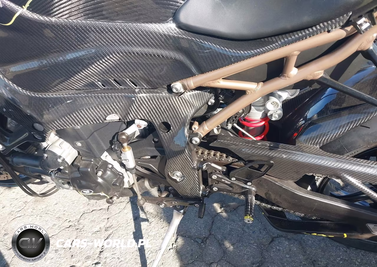2020 BMW S 1000 Rr VIN:WB10E2303L6D07110 - 9