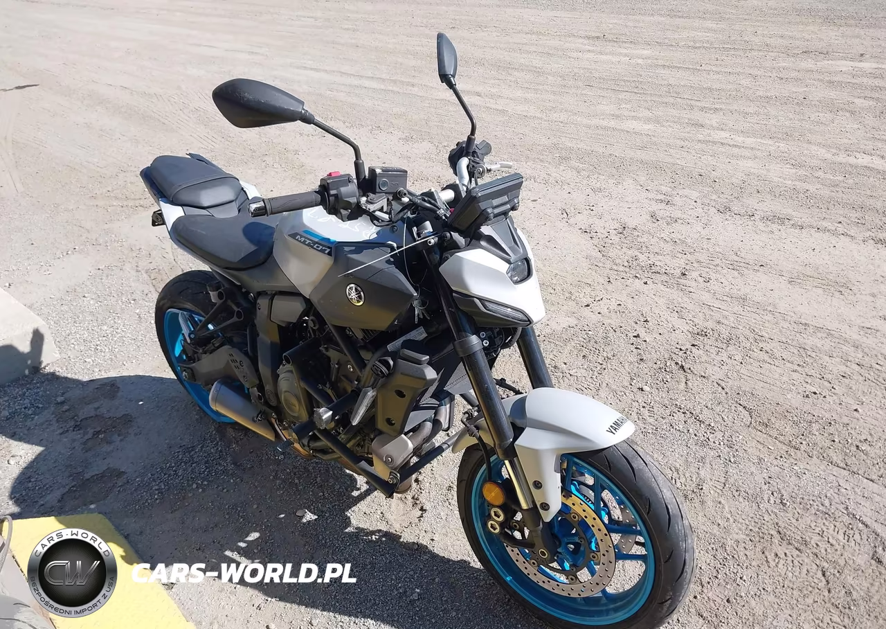 2025 Yamaha Mtn690 C