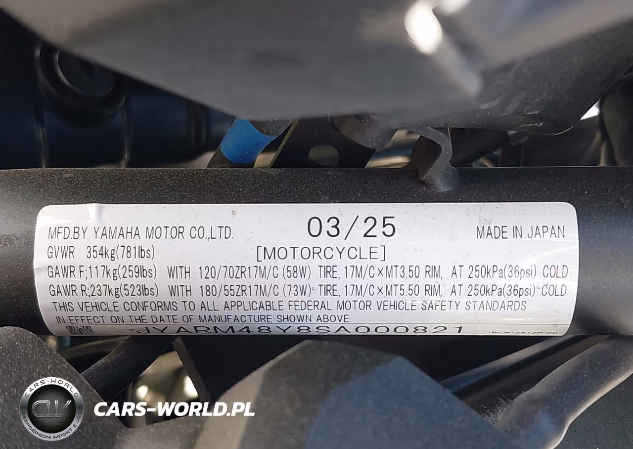 2025 Yamaha Mtn690 C VIN:JYARM48Y8SA000821 - 10