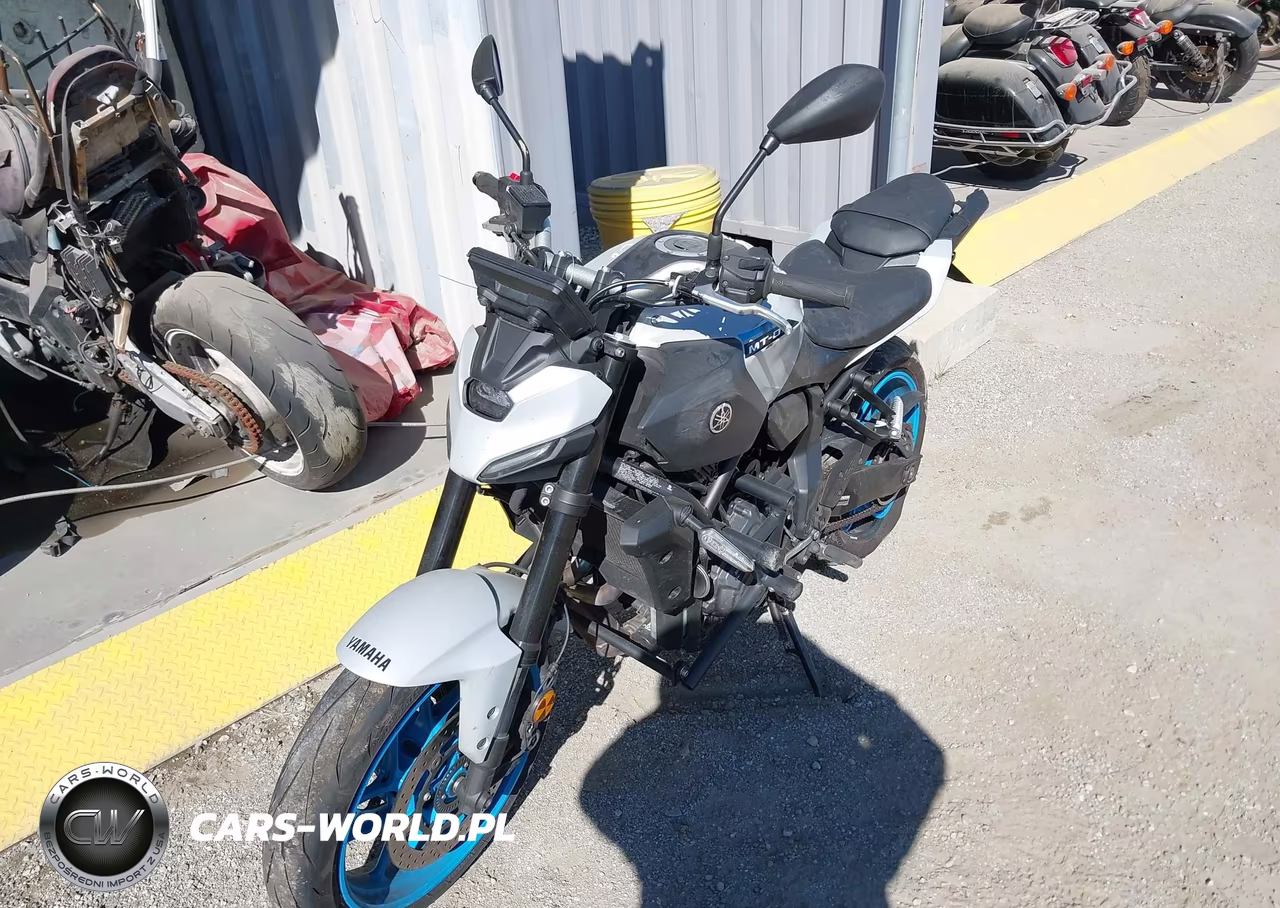 2025 Yamaha Mtn690 C VIN:JYARM48Y8SA000821 - 2