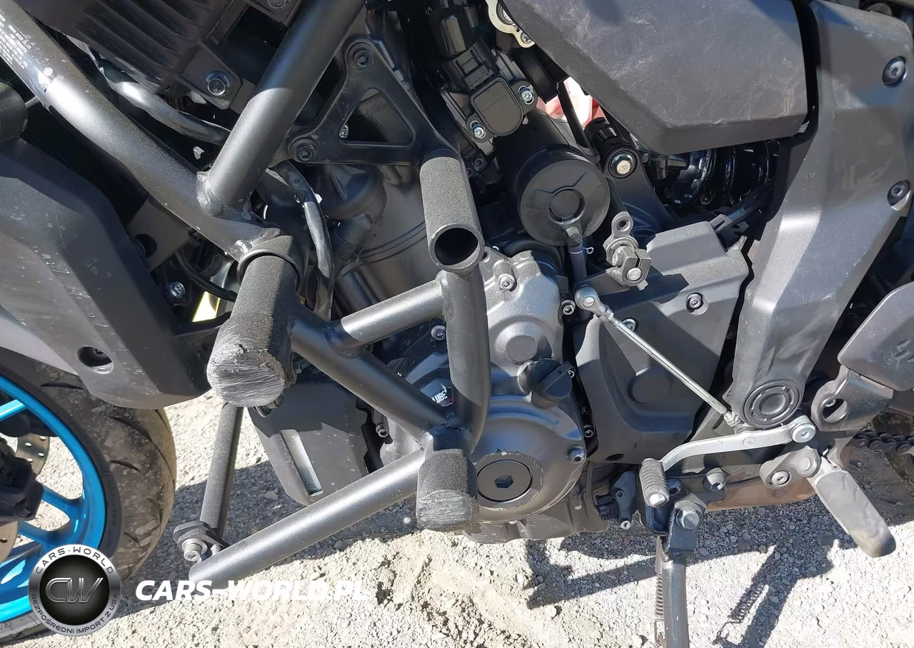 2025 Yamaha Mtn690 C VIN:JYARM48Y8SA000821 - 9