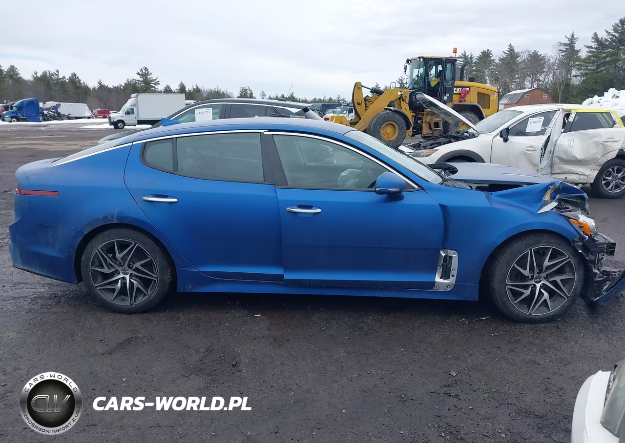 2018 Kia Stinger VIN:KNAE15LAXJ6011734 - 14