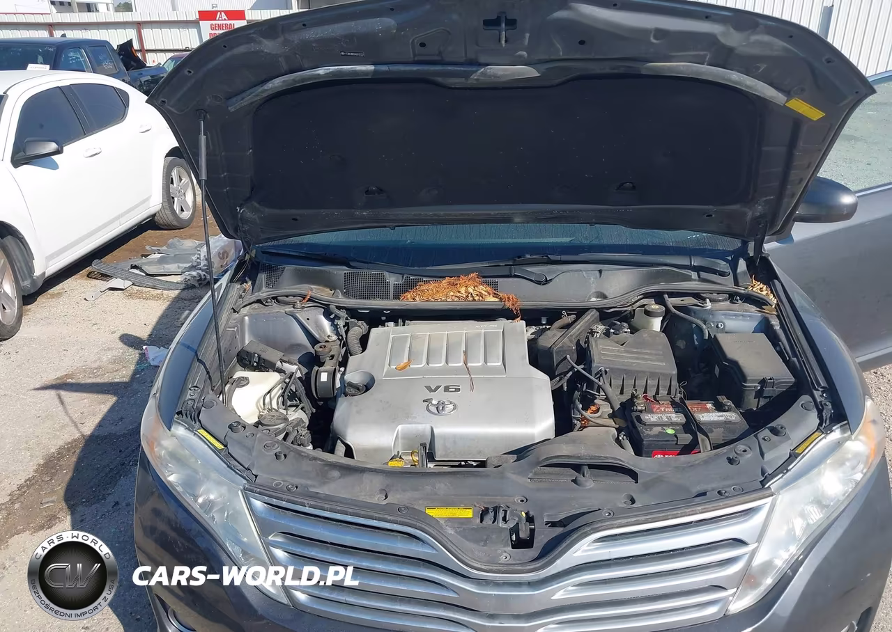 2010 Toyota Venza Base V6 VIN:4T3BK3BB2AU039155 - 10