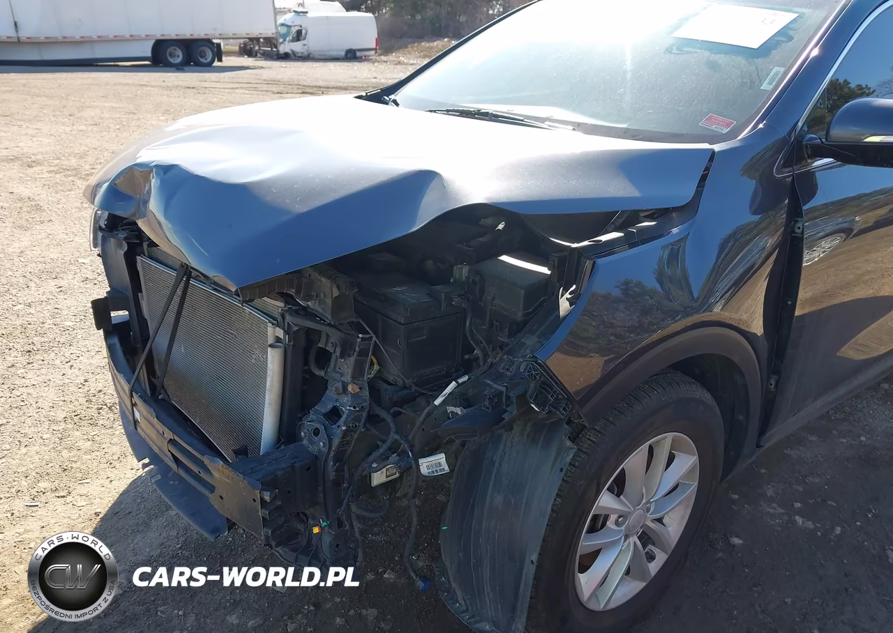 2018 Kia Sorento 2.4L Lx VIN:5XYPG4A32JG387236 - 6