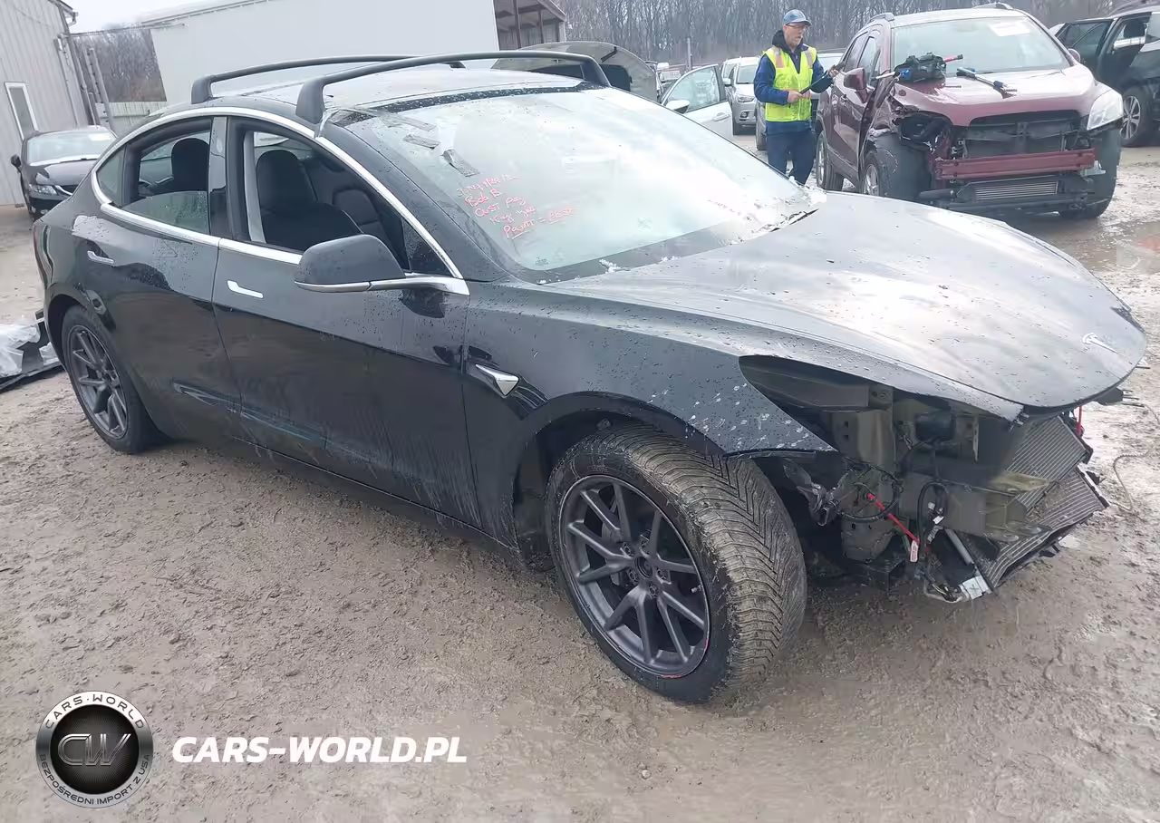 Główne zdjęcie 2019 Tesla Model 3 Long Range-Performance