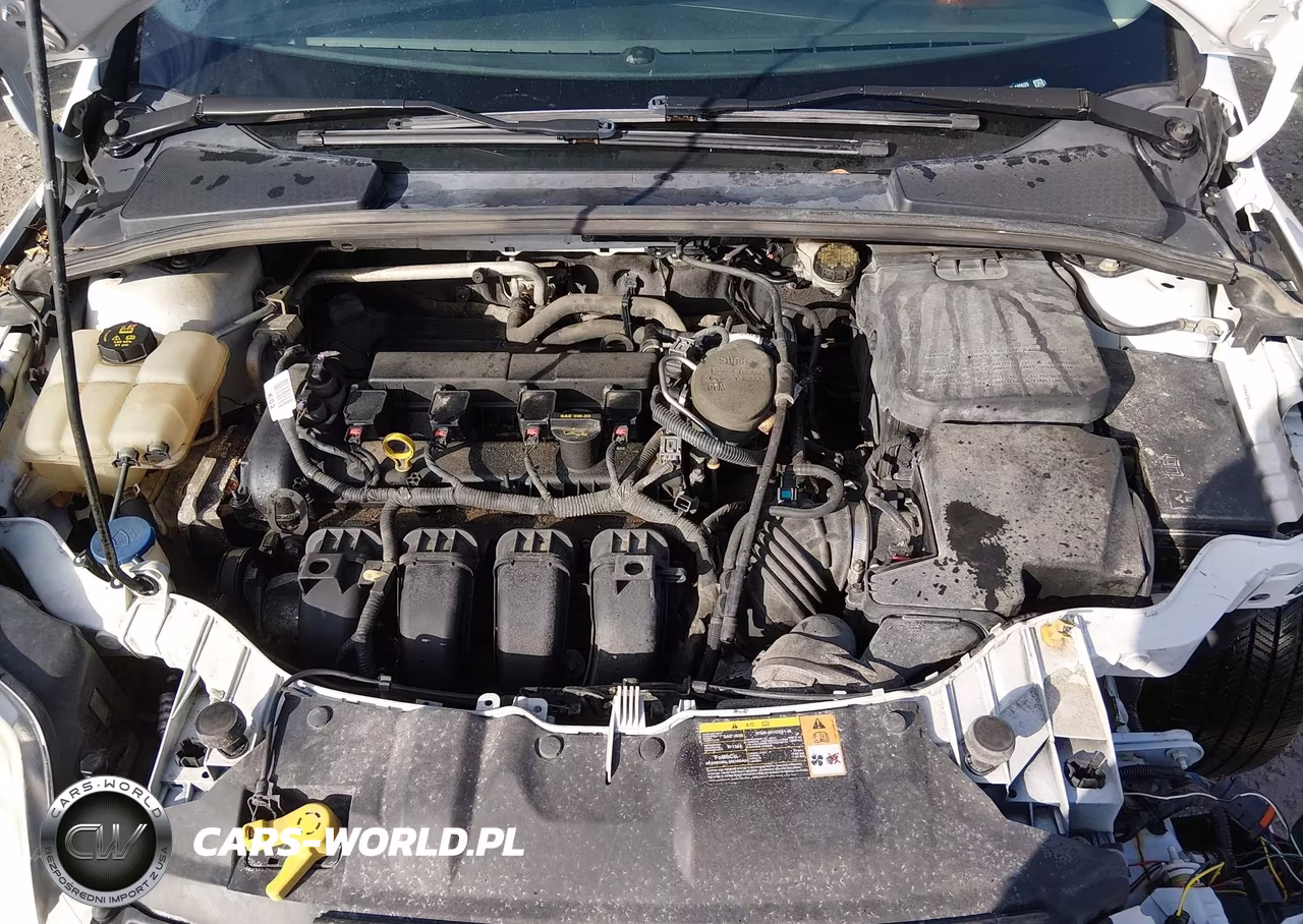2014 Ford Focus Se VIN:1FADP3F29EL180629 - 10