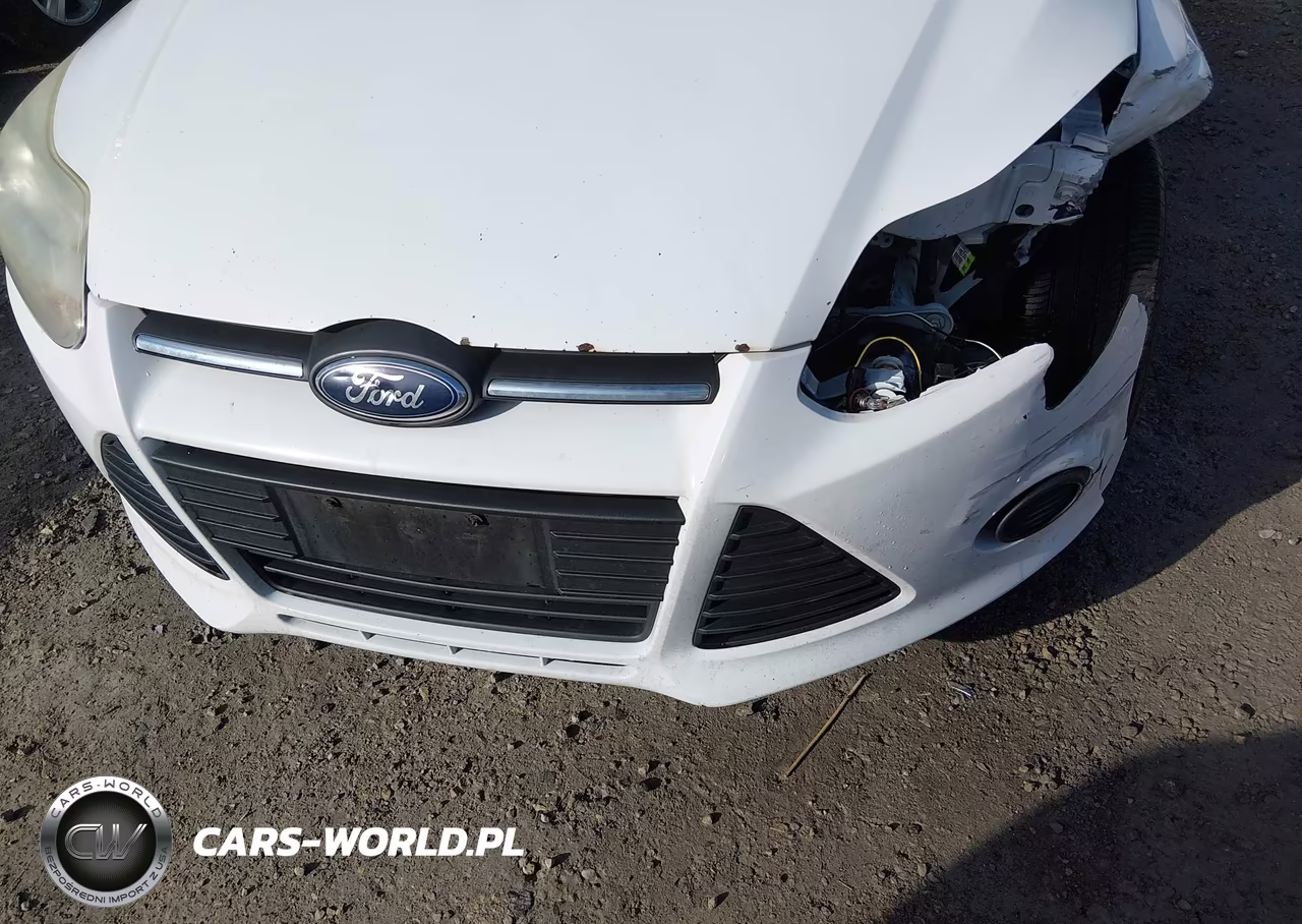 2014 Ford Focus Se VIN:1FADP3F29EL180629 - 17