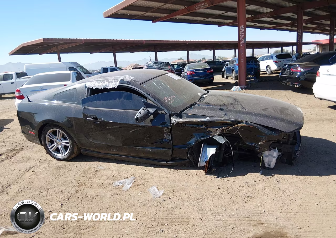 2013 Ford Mustang V6 VIN:1ZVBP8AM7D5251561 - 13