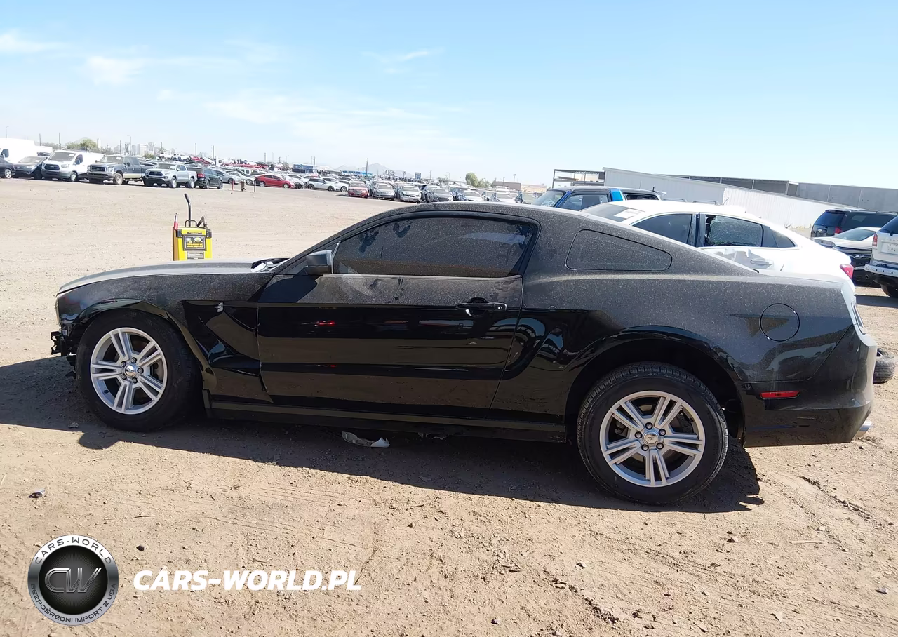 2013 Ford Mustang V6 VIN:1ZVBP8AM7D5251561 - 14