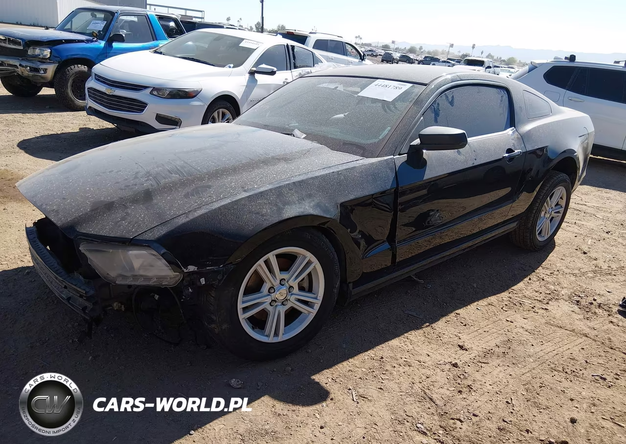 2013 Ford Mustang V6 VIN:1ZVBP8AM7D5251561 - 2