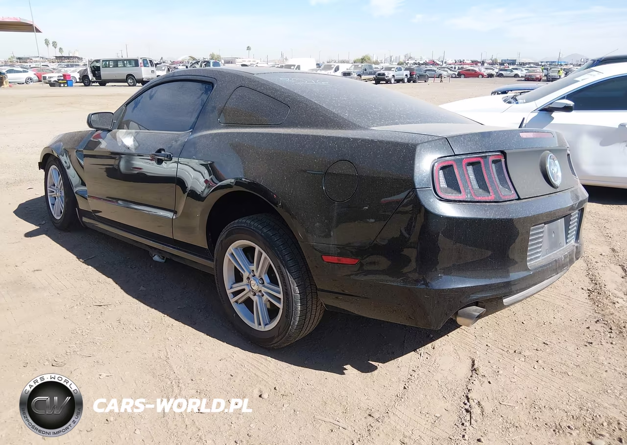 2013 Ford Mustang V6 VIN:1ZVBP8AM7D5251561 - 3