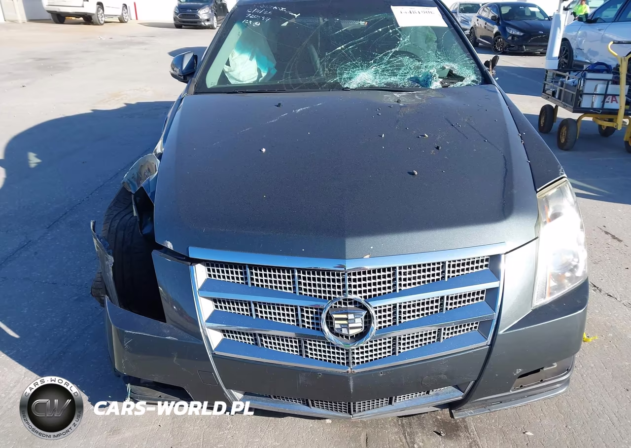2010 Cadillac Cts Luxury VIN:1G6DE5EG6A0146039 - 13