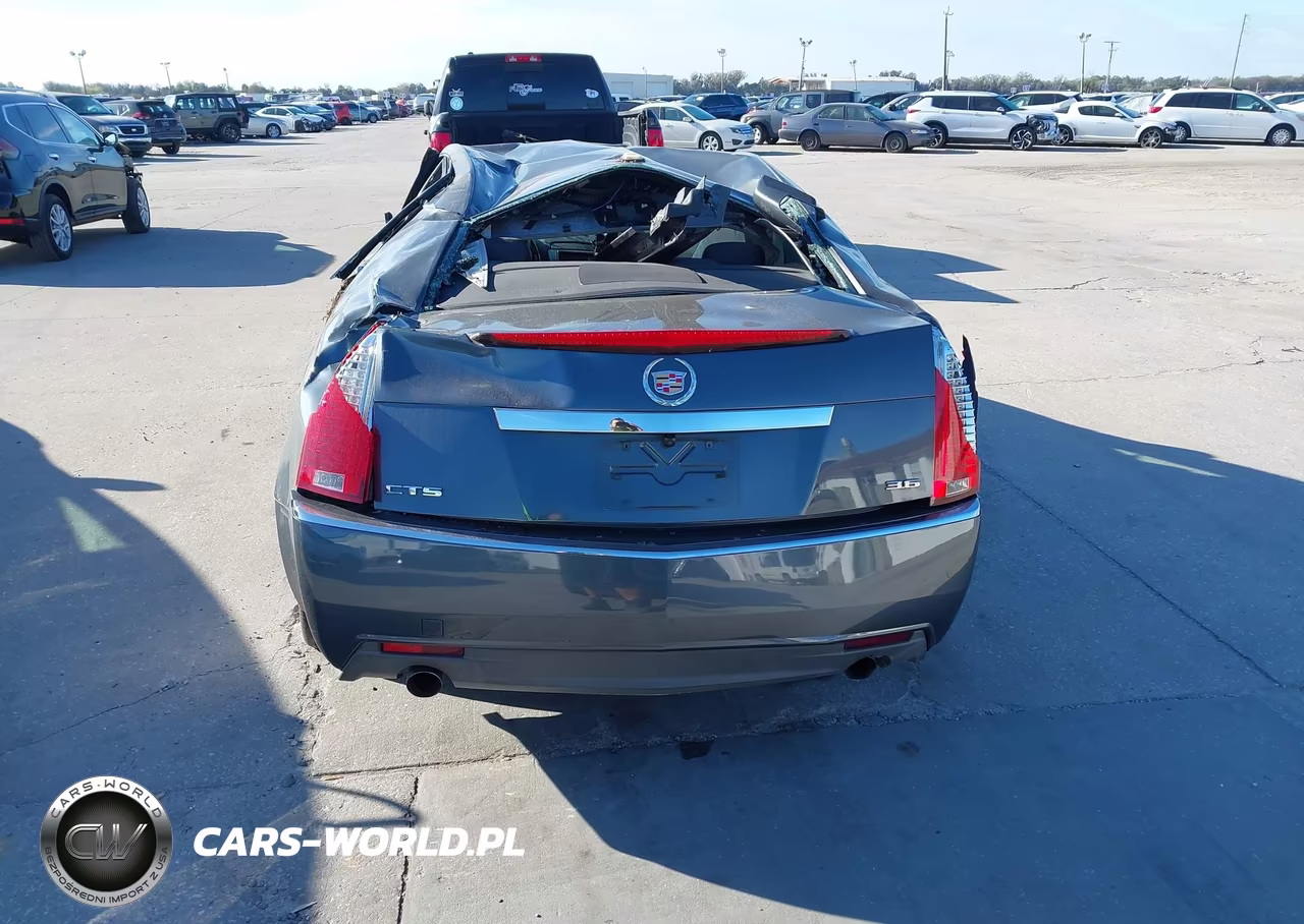 2010 Cadillac Cts Luxury VIN:1G6DE5EG6A0146039 - 17